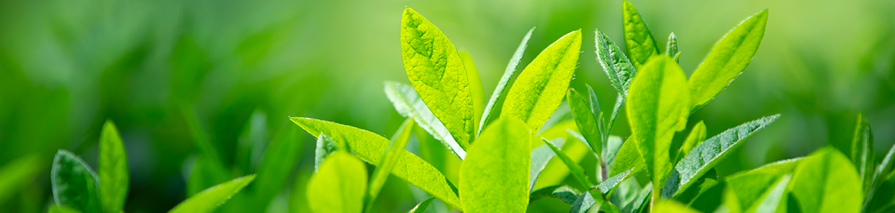 회사 이미지 회사 이미지